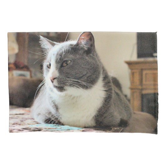 Katze Kissenbezug (Vorderseite)