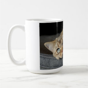 Katze, Kitten, Britische Kurzhaar Kaffeetasse