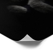 Katze/Kitten/Kitty Portrait Poster (Ecke)