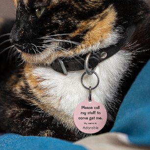 Katze, Kitten Lost Tag, Small .88" Haustiermarke