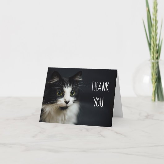 Katze, Kitty, danke, kleine Notecard Dankeskarte (Vorderseite)