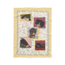 Katze, Kitty-Katzen-Zuhause-Bonbon-Zuhause