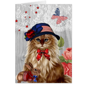 Katze kleidete im roten weißen und blauen