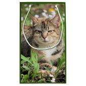 Katze Kleine Geschenktüte (Rückseite)