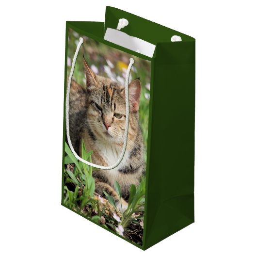 Katze Kleine Geschenktüte (Rückseite Schrägansicht)