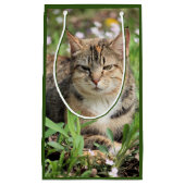 Katze Kleine Geschenktüte (Vorderseite)