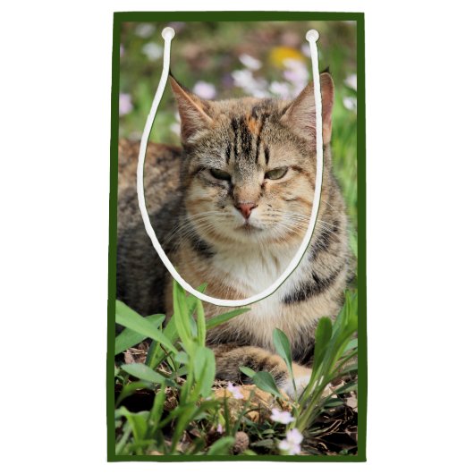 Katze Kleine Geschenktüte (Vorderseite)