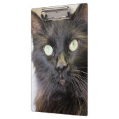 Katze Klemmbrett (Links)