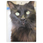 Katze Klemmbrett (Rückseite)