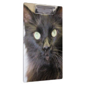 Katze Klemmbrett (Rechts)