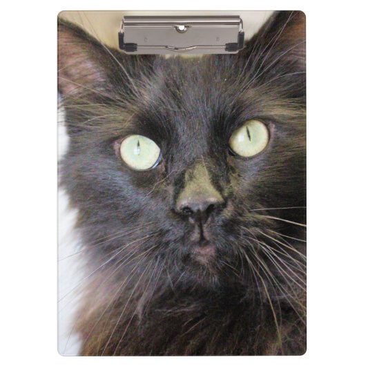 Katze Klemmbrett (Vorderseite)