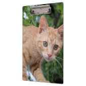 Katze Klemmbrett (Links)