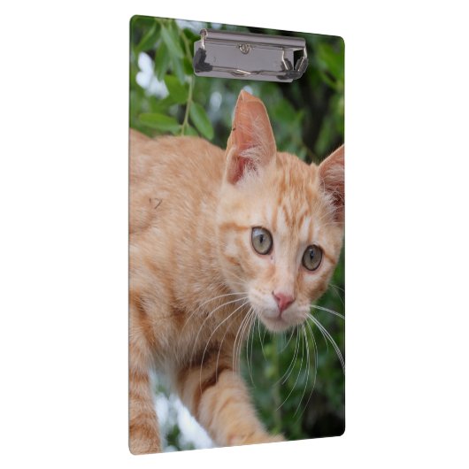 Katze Klemmbrett (Rechts)