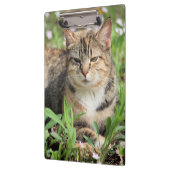 Katze Klemmbrett (Links)