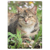 Katze Klemmbrett (Rückseite)