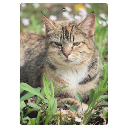 Katze Klemmbrett (Rückseite)