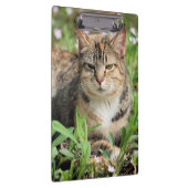 Katze Klemmbrett (Rechts)