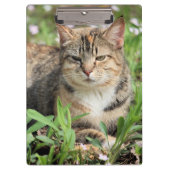 Katze Klemmbrett (Vorderseite)