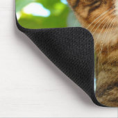 Katze Klettern am Baum Mousepad (Ecke)