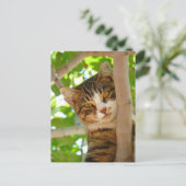Katze Klettern am Baum Postkarte (Stehend Vorderseite)