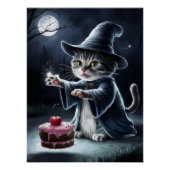 Katze Koch. Poster (Vorderseite)