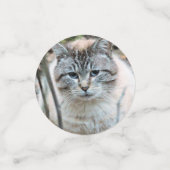 Katze Konfetti (Klein Vorderseite)