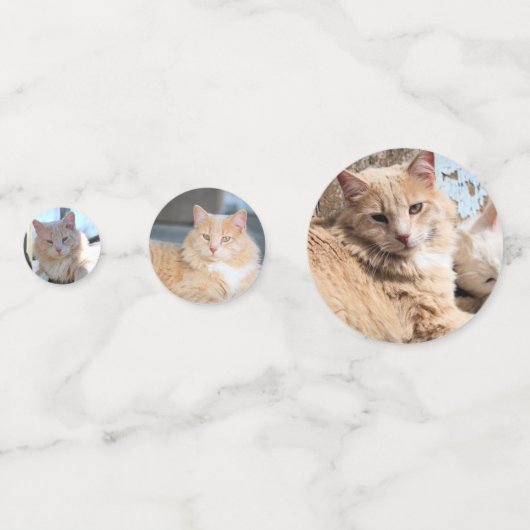Katze Konfetti (Rückseiten)