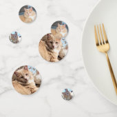 Katze Konfetti (Gruppe)