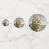 Katze Konfetti (Vorderseiten)
