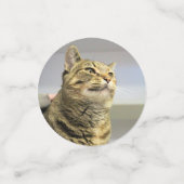 Katze Konfetti (Klein Vorderseite)