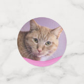Katze Konfetti (Klein Vorderseite)