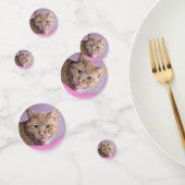 Katze Konfetti (Gruppe)