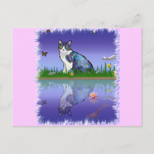 Katze kopieren postkarte (Vorderseite)