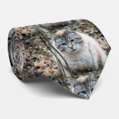 Katze Krawatte (Gerollt)