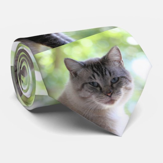 Katze Krawatte (Gerollt)