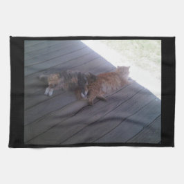 Katze Küchentücher