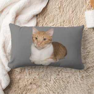 KATZE KUDDLE GINGER UND WEISSE PILLOWS LENDENKISSEN