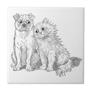 Katze kuschelt sich an Hund Fliese