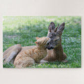 Katze küsst Hirsche auf dem Gras draußen Puzzle (Horizontal)