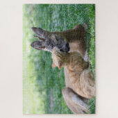 Katze küsst Hirsche auf dem Gras draußen Puzzle (Vertikal)