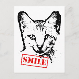 Katze lächeln postkarte