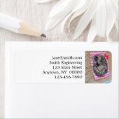 Katze lag am Strand (Insitu)