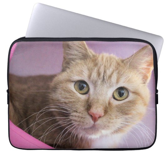 Katze Laptopschutzhülle (Vorderseite)