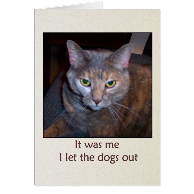 Katze Lasse die Hunde aus (Vorne)