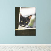 Katze Leinwanddruck (Insitu (Holzboden))