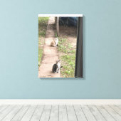 Katze Leinwanddruck (Insitu (Holzboden))