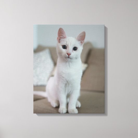 Katze Leinwanddruck (Vorderseite)
