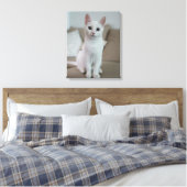 Katze Leinwanddruck (Insitu (Schlafzimmer))