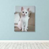 Katze Leinwanddruck (Insitu (Holzboden))