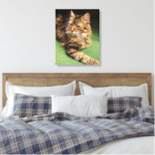 Katze Leinwanddruck (Insitu (Schlafzimmer))